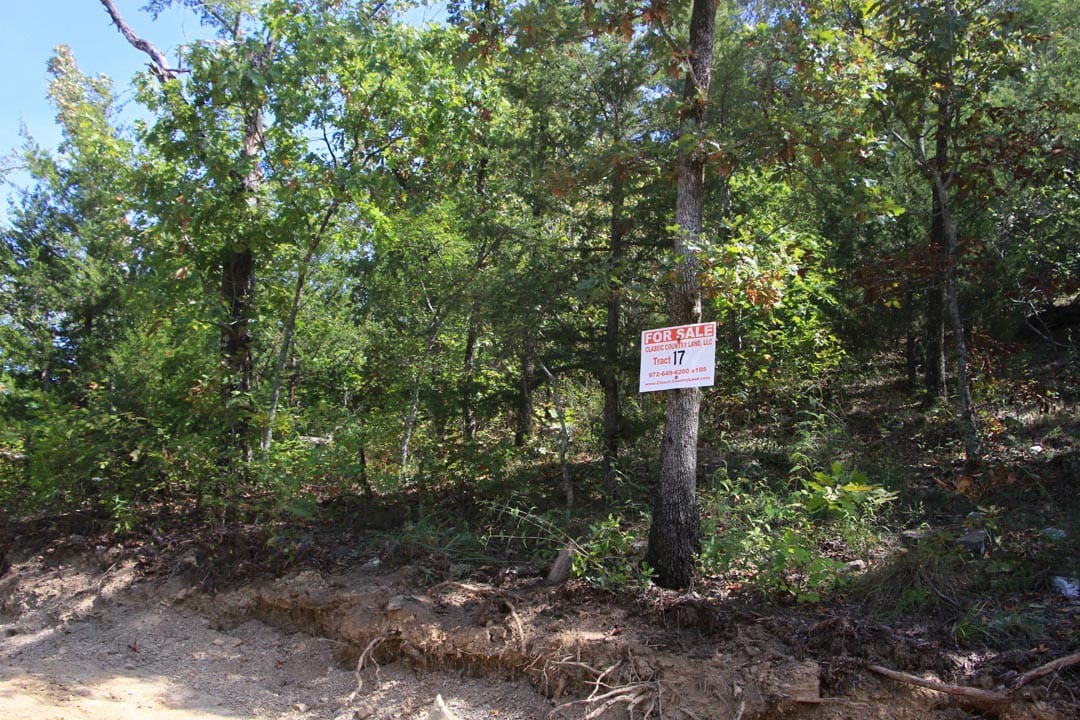 Lakeview Private Reserve Tract 17 photo 1