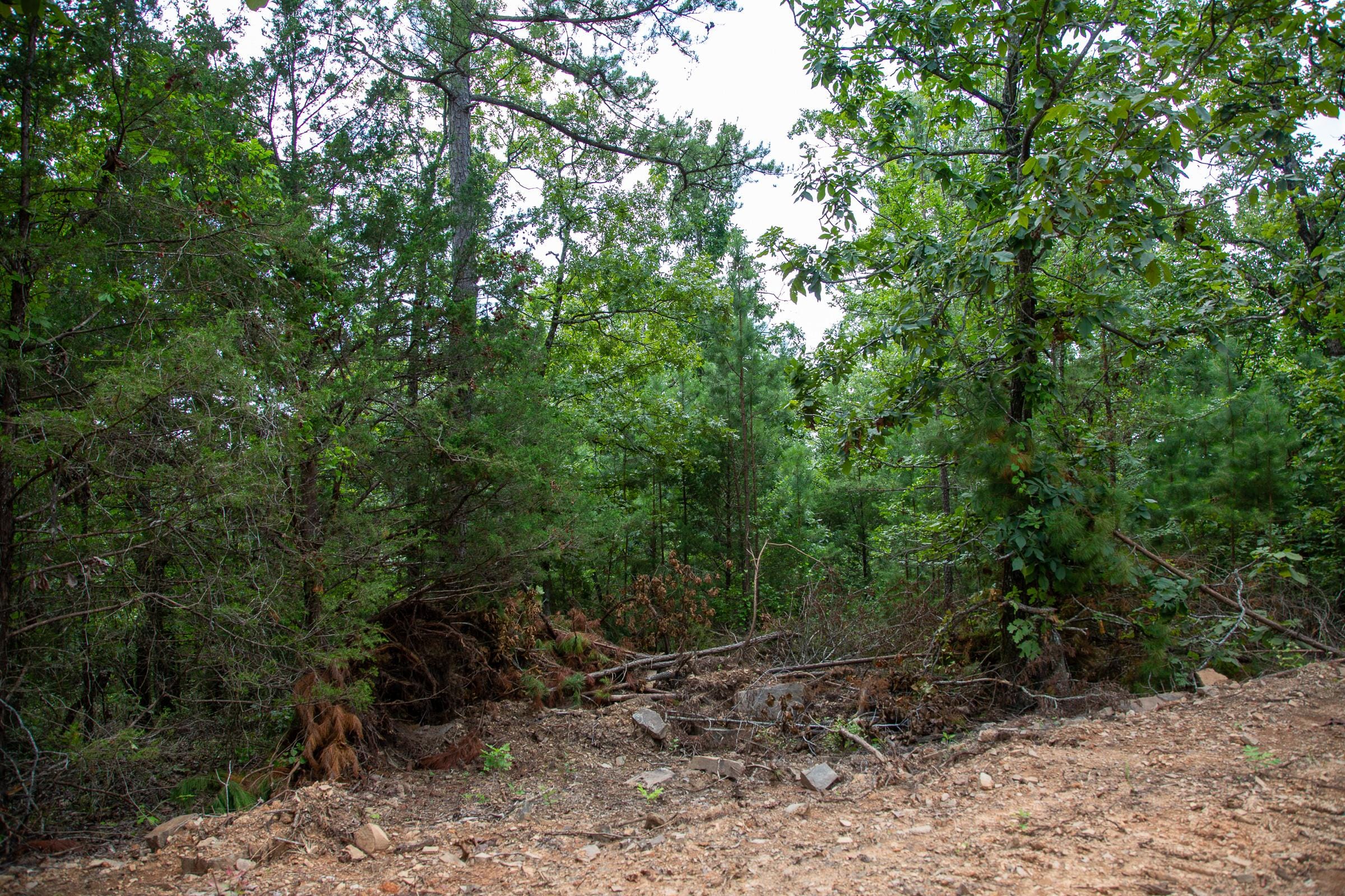 Tyler Stone Ranch Tract 61 photo 3
