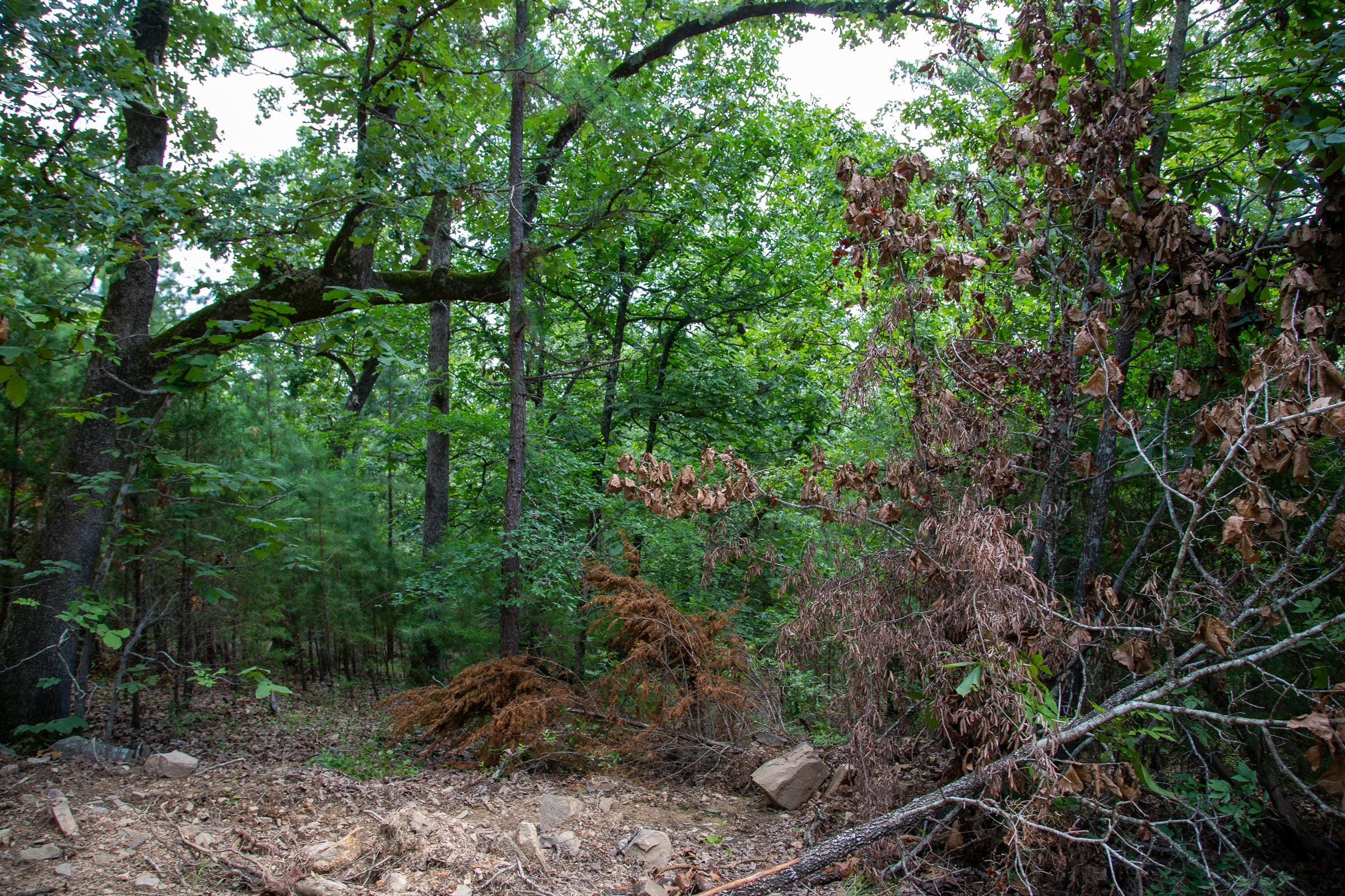 Tyler Stone Ranch Tract 61 photo 5