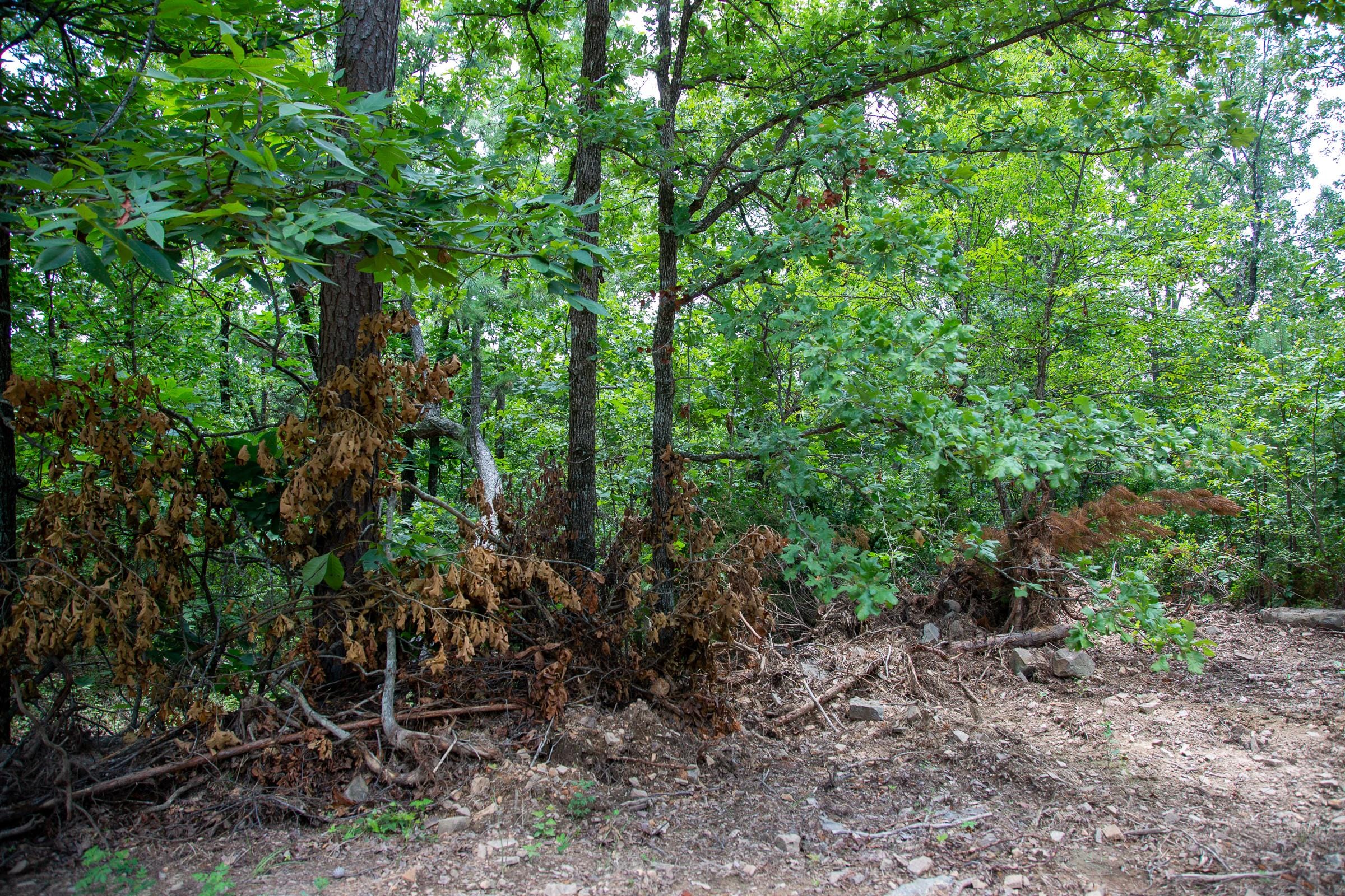 Tyler Stone Ranch Tract 61 photo 7