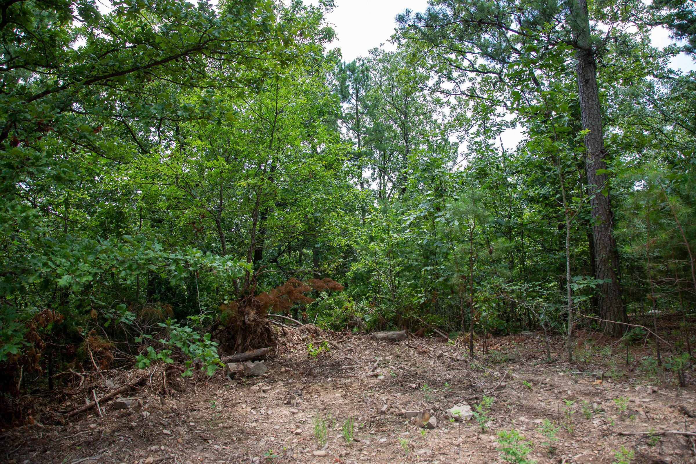 Tyler Stone Ranch Tract 61 photo 1