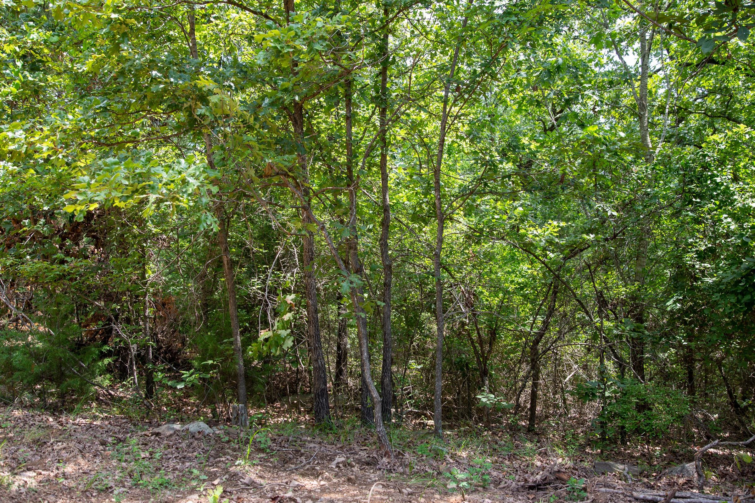 Tyler Stone Ranch Tract 61 photo 9