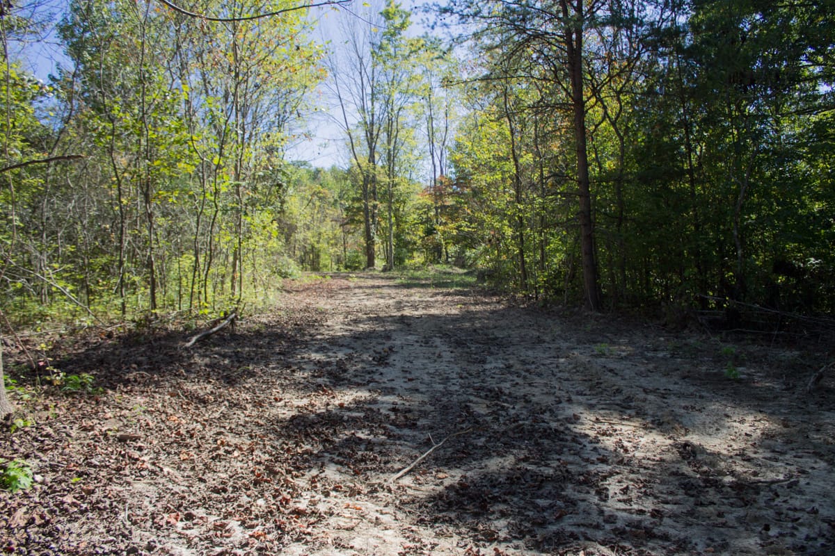 Black Oak Ranch Tract 5 photo 3