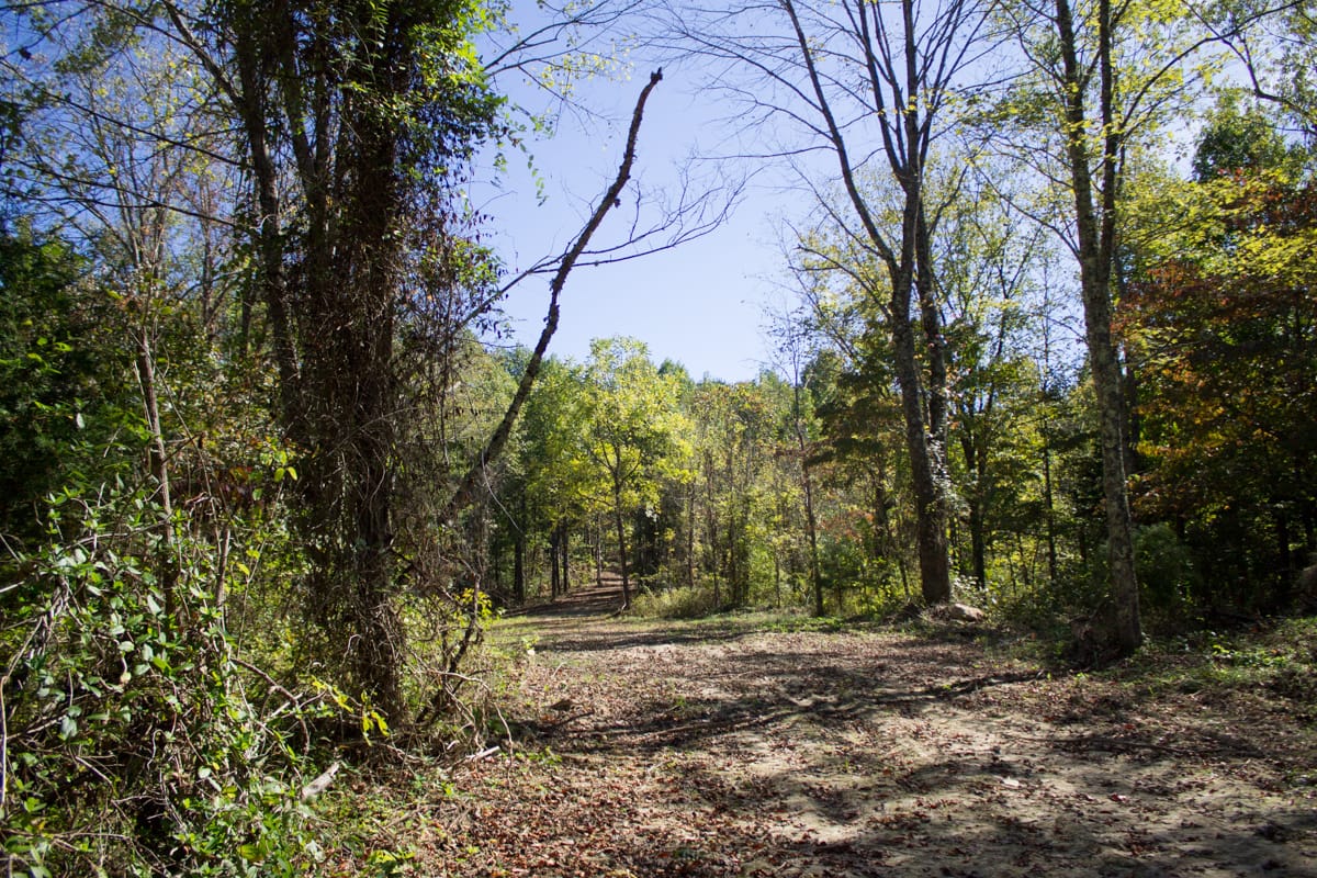 Black Oak Ranch Tract 5 photo 10