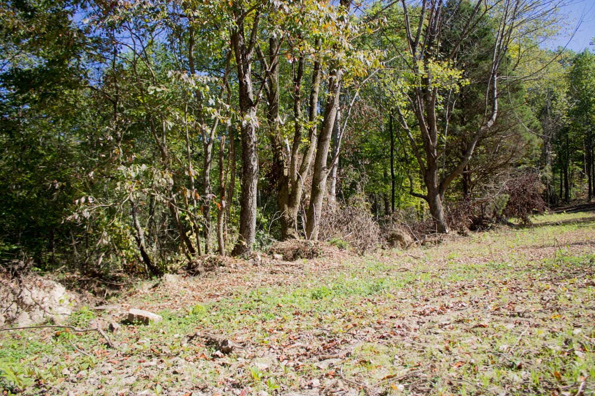 Black Oak Ranch Tract 5 photo 13