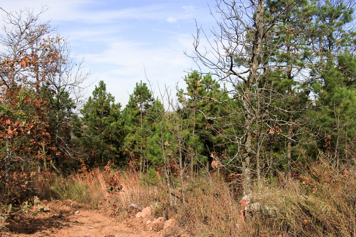 Stone Creek Phase III Tract 55 photo 3