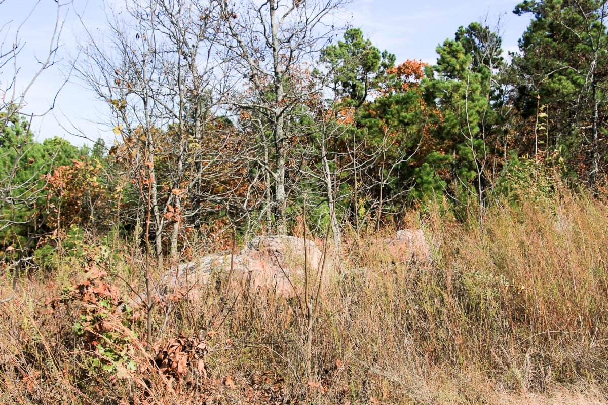 Stone Creek Phase III Tract 55 photo 4