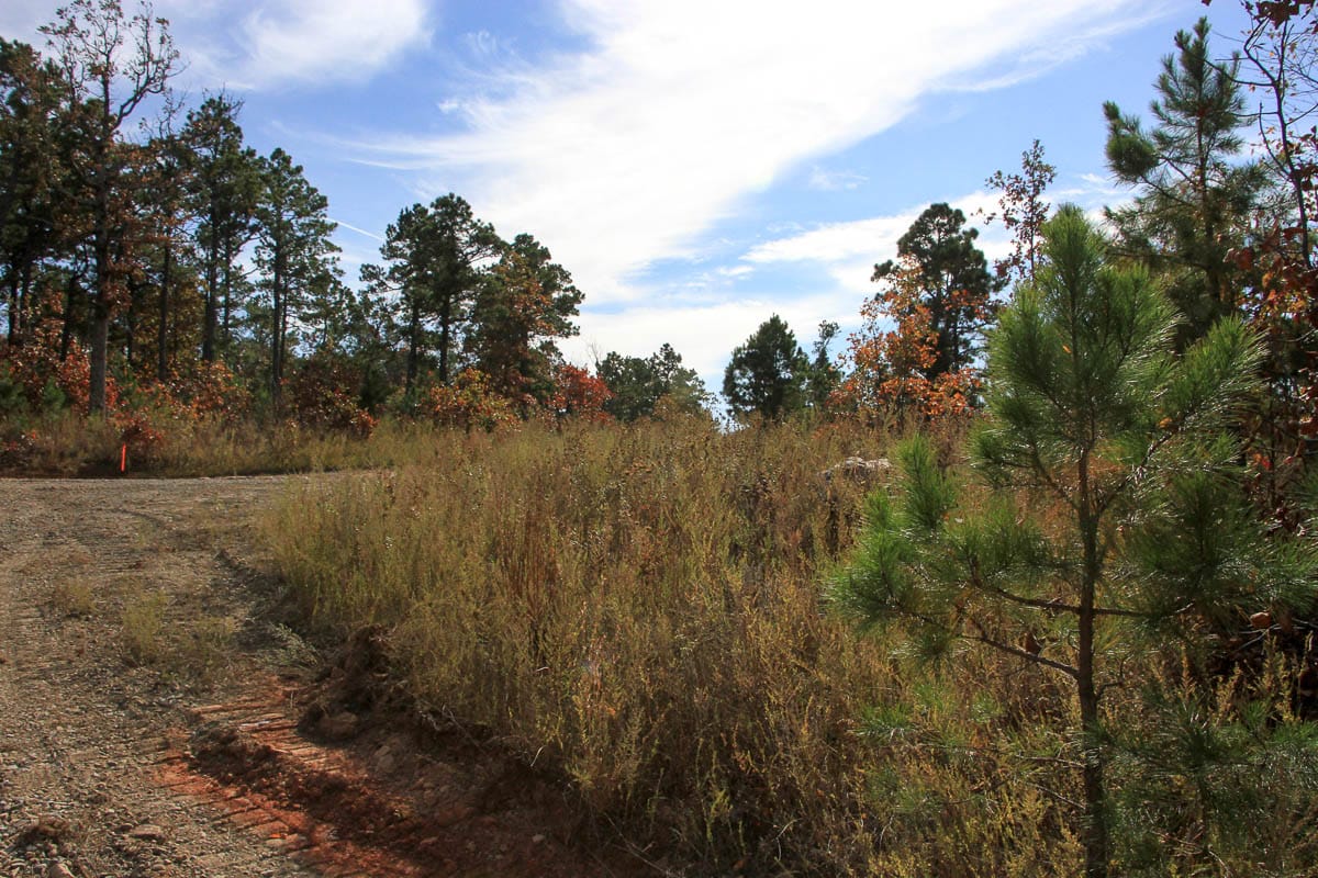 Stone Creek Phase III Tract 55 photo 6