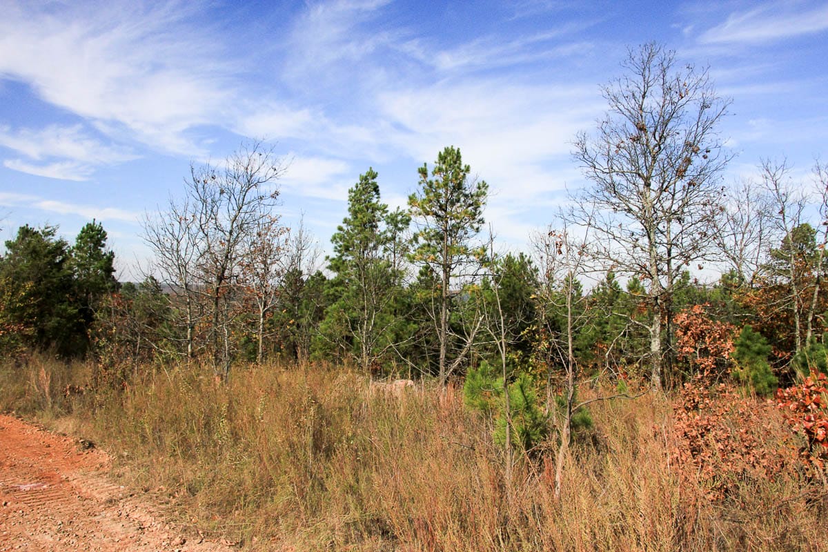 Stone Creek Phase III Tract 55 photo 7