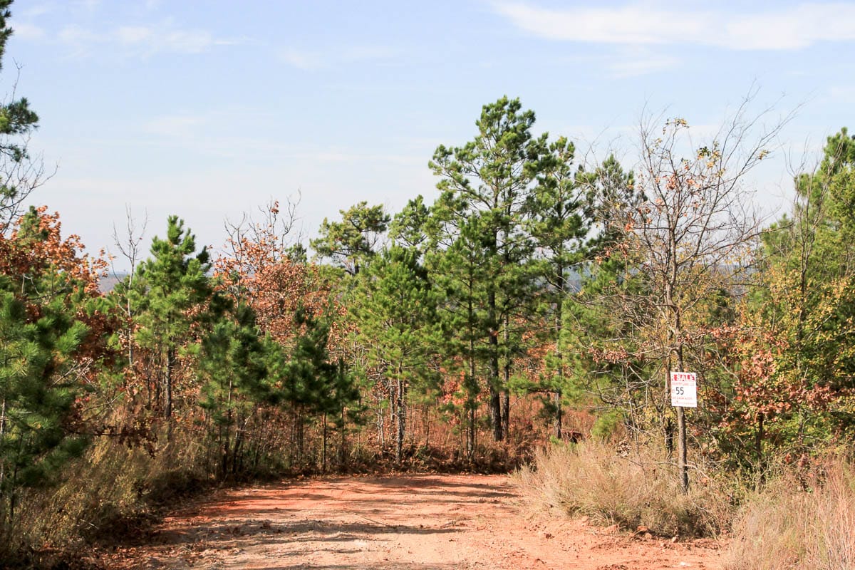 Stone Creek Phase III Tract 55 photo 11