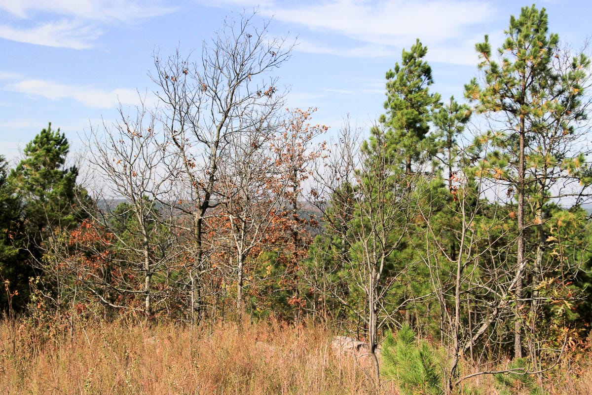 Stone Creek Phase III Tract 55 photo 12