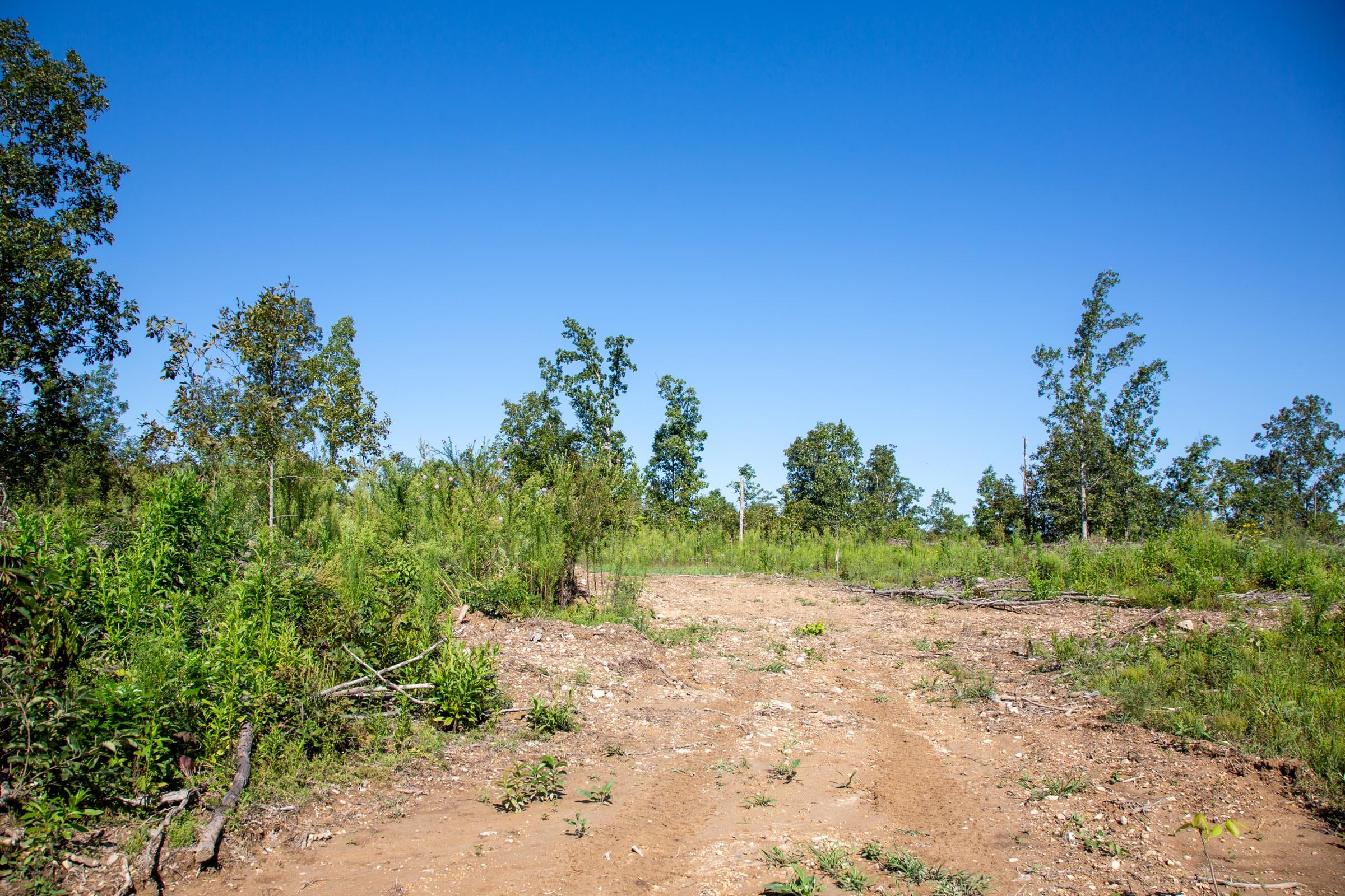 Borgmann’s Hollow Phase II Tract 65 photo 6
