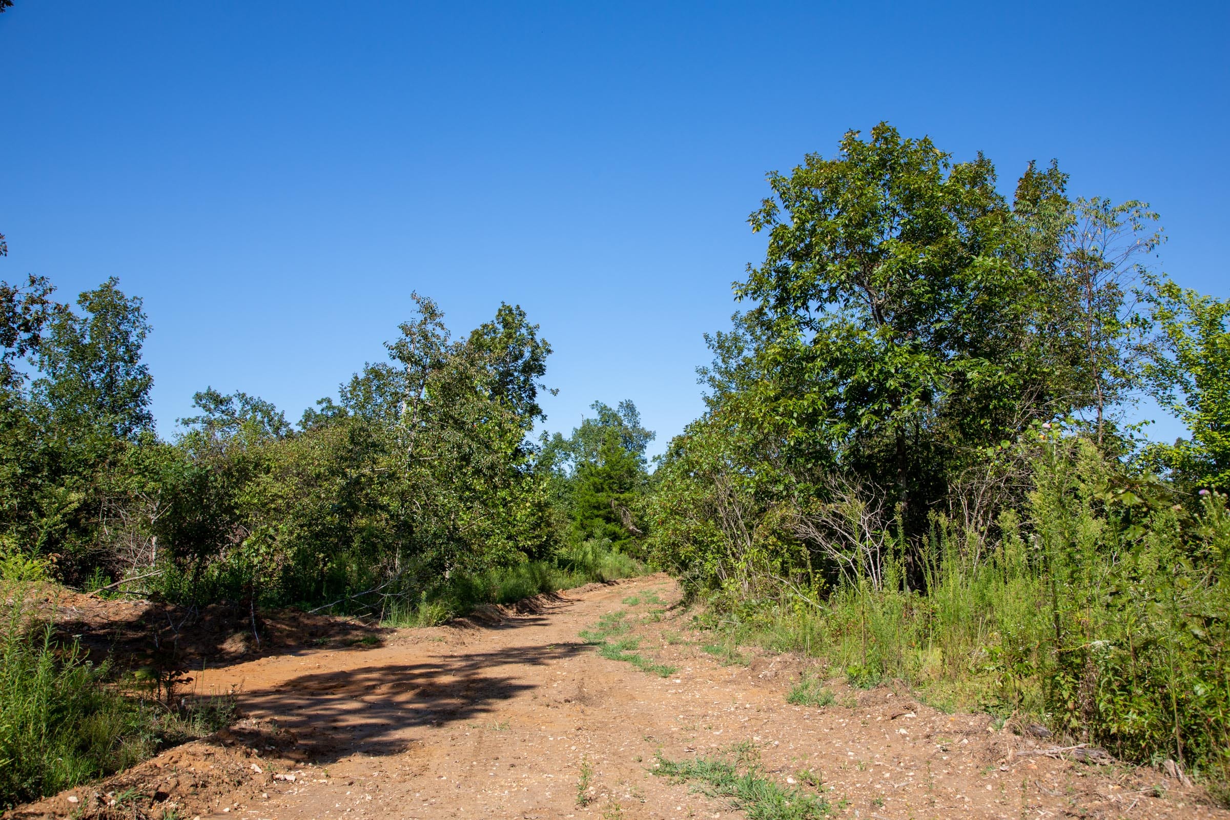 Borgmann’s Hollow Phase II Tract 65 photo 1