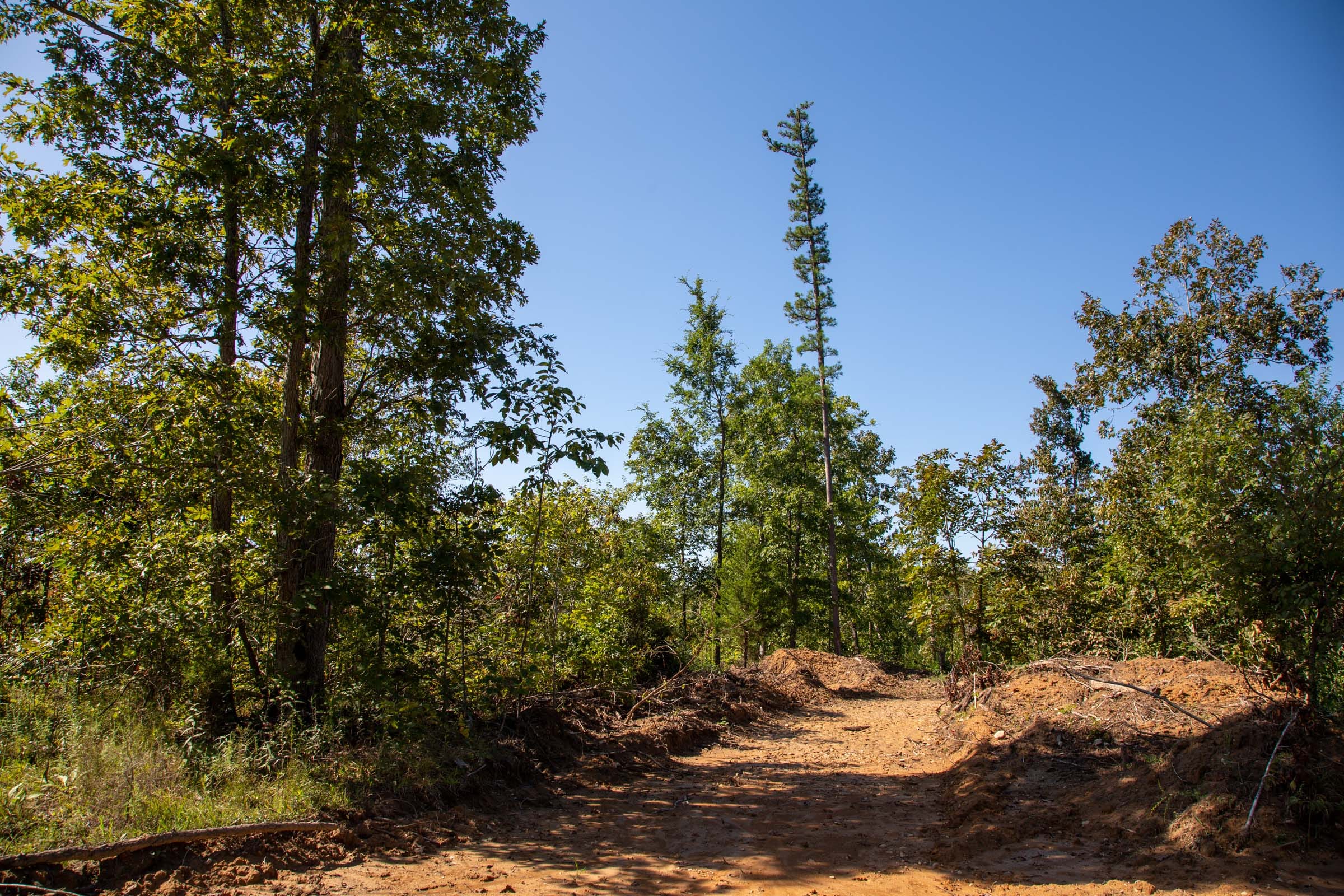 Borgmann’s Hollow Phase II Tract 65 photo 9