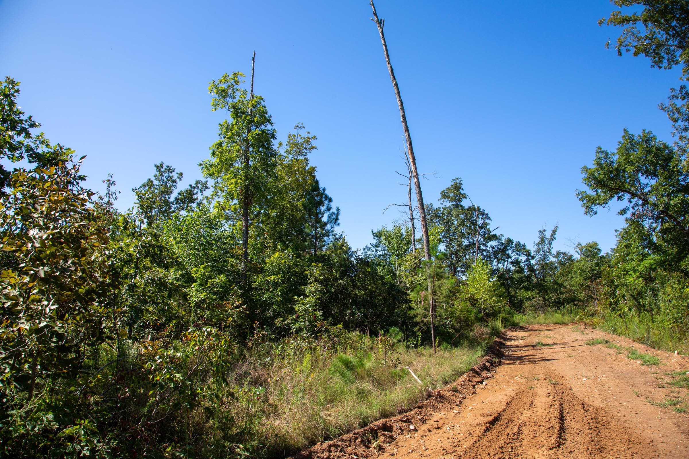 Borgmann’s Hollow Phase II Tract 65 photo 11