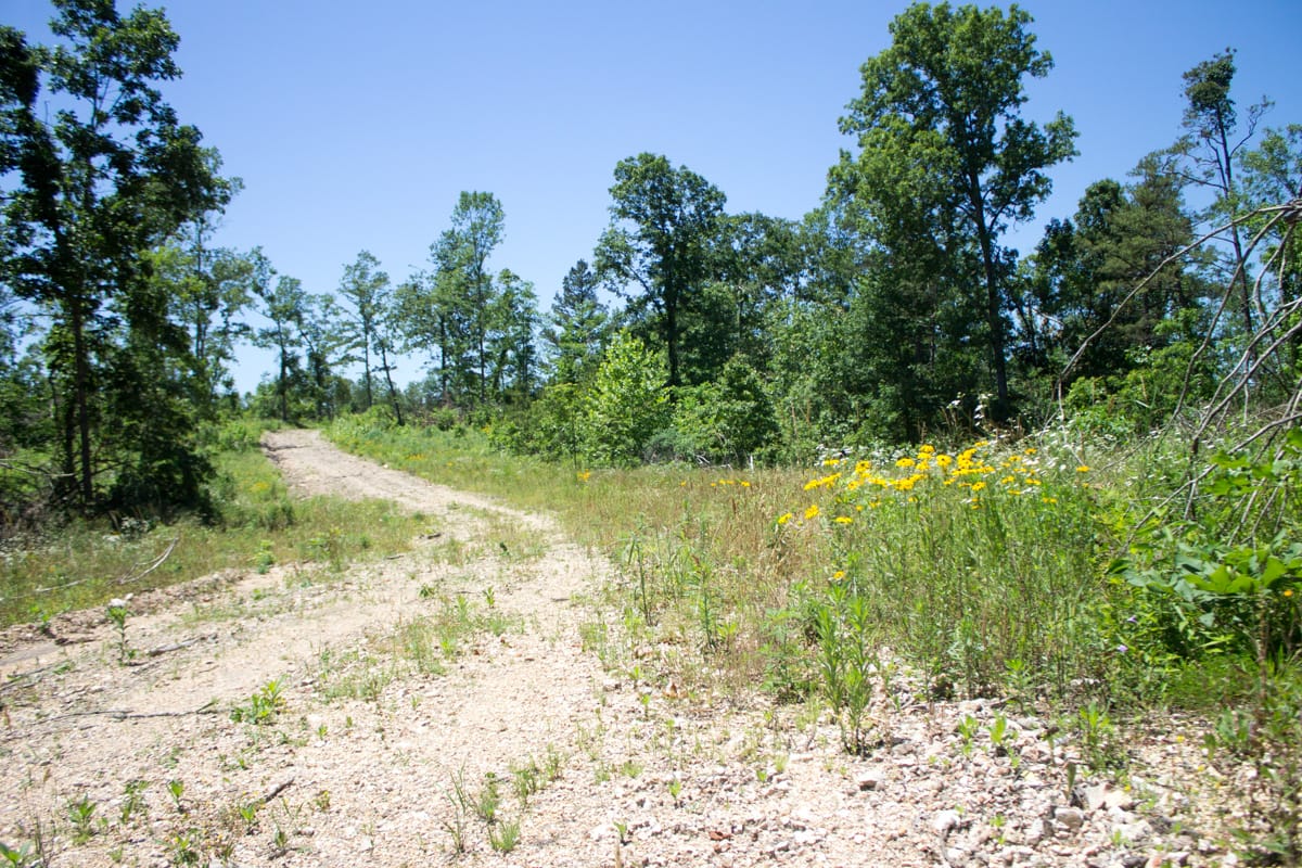 Timber Crossing Tract 18 photo 2