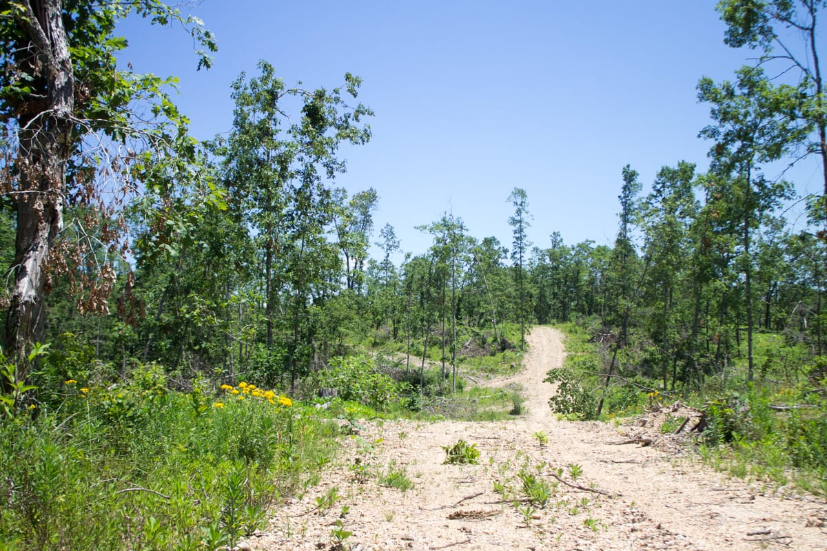 Timber Crossing Tract 18 photo 4
