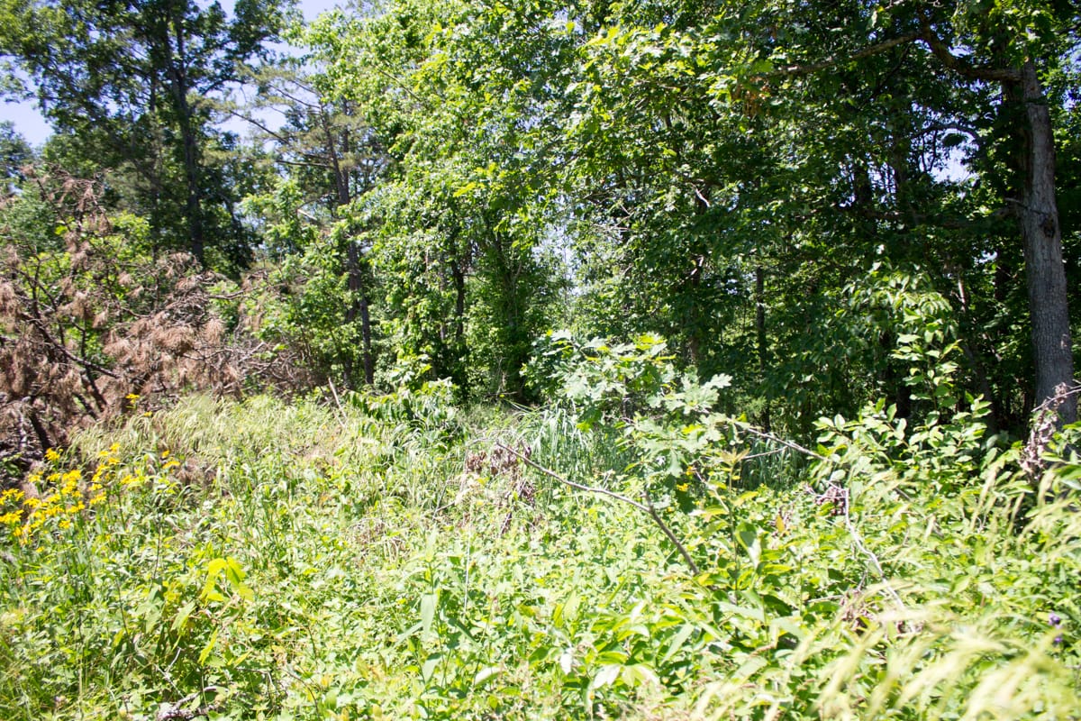 Timber Crossing Tract 18 photo 15