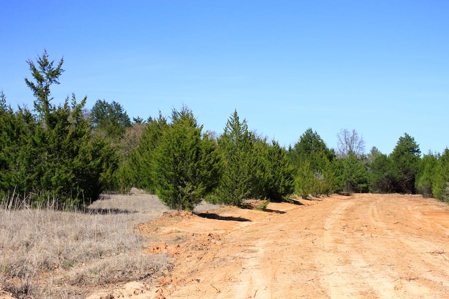 Montgomery Ranch Tract 11 photo 2