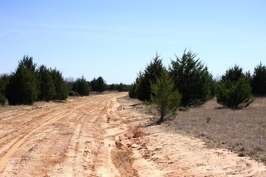 Montgomery Ranch Tract 11 photo 3