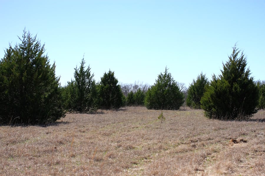 Montgomery Ranch Tract 11 photo 4