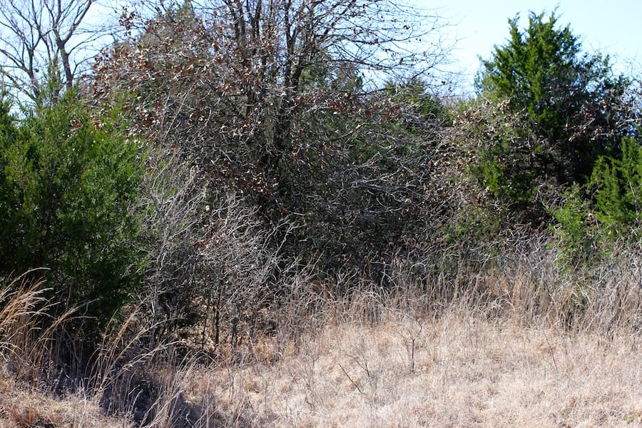 Montgomery Ranch Tract 11 photo 5