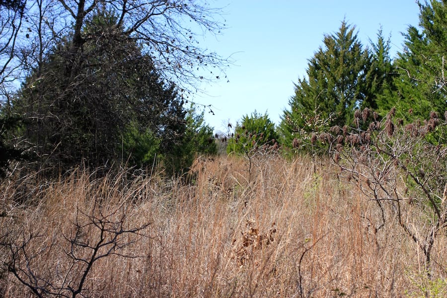 Montgomery Ranch Tract 11 photo 10