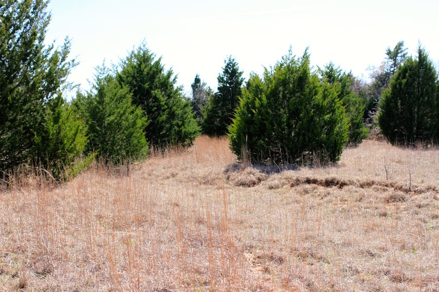 Montgomery Ranch Tract 11 photo 11