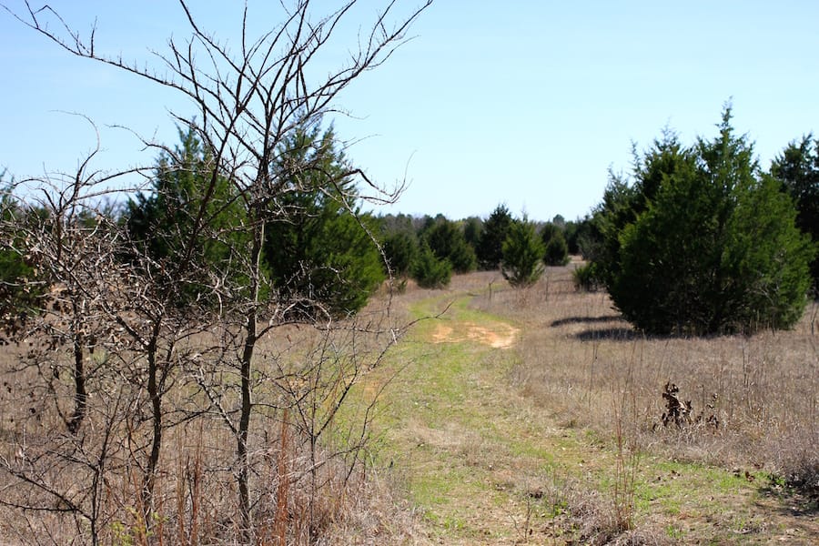 Montgomery Ranch Tract 11 photo 14