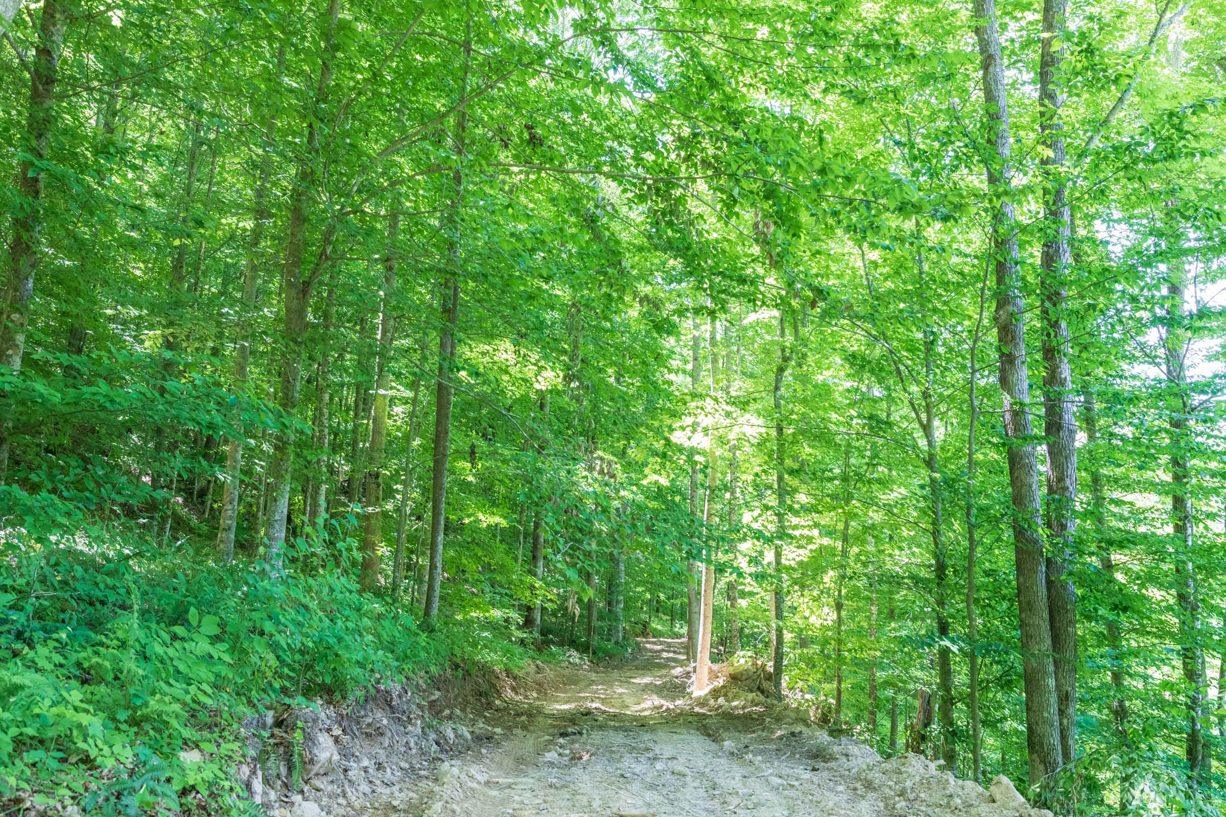 River’s Edge Tract 22 photo 6