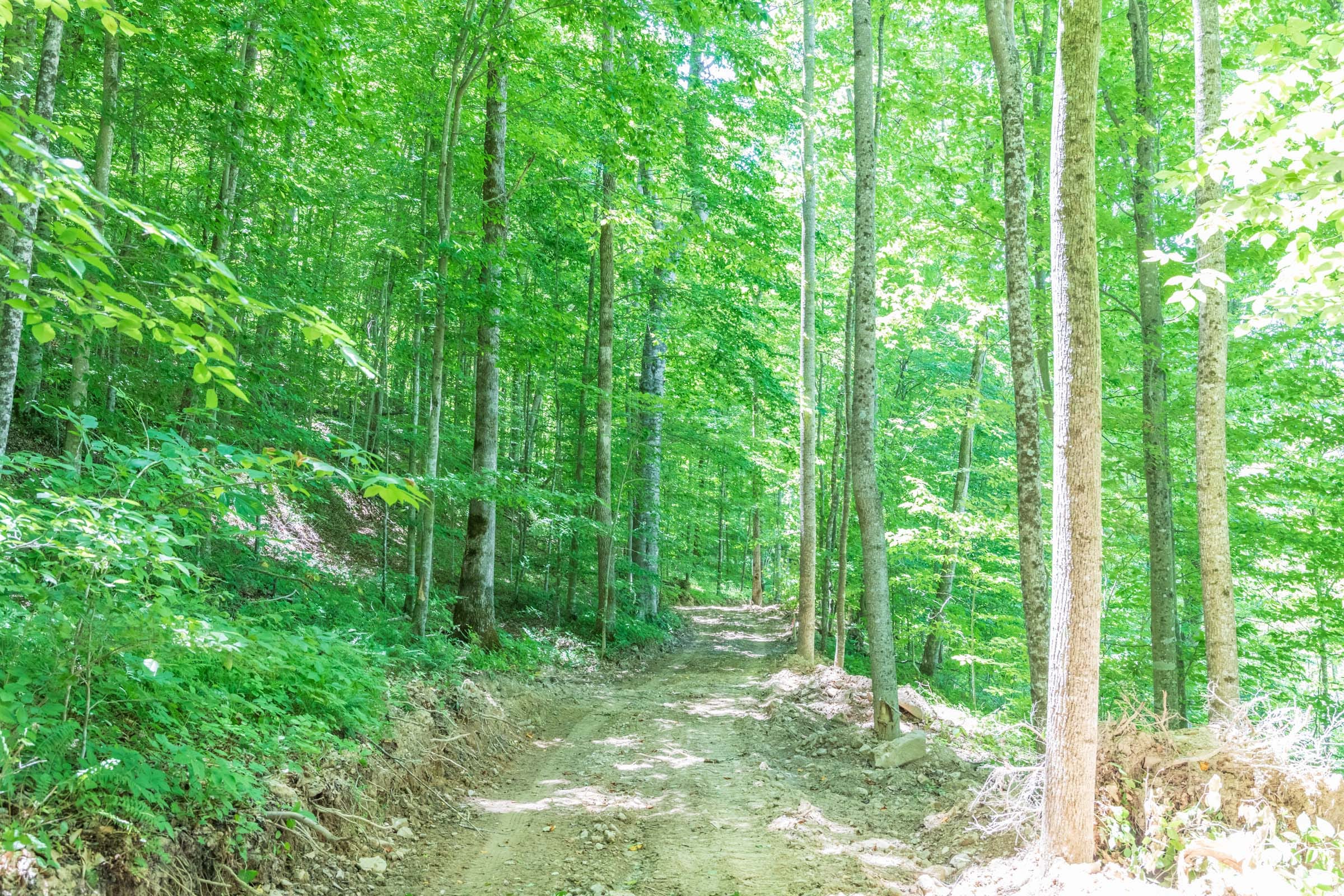 River’s Edge Tract 22 photo 1