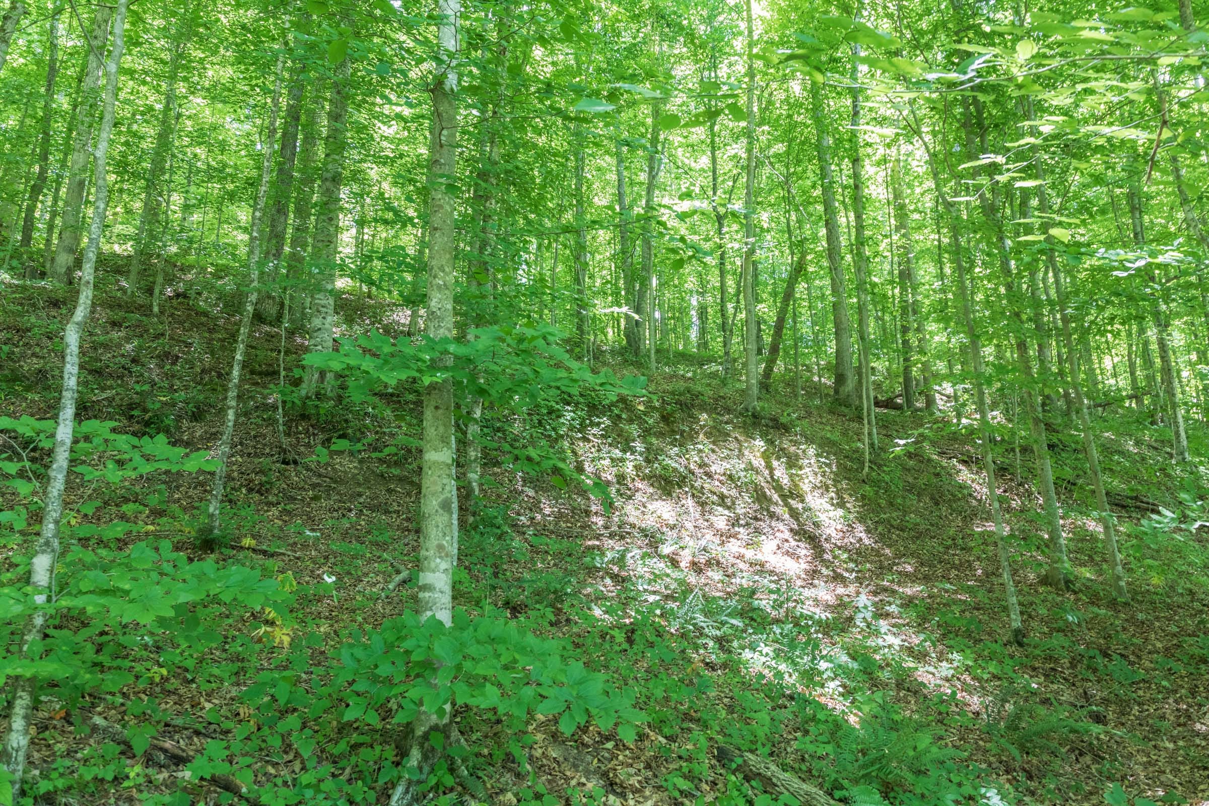 River’s Edge Tract 22 photo 8