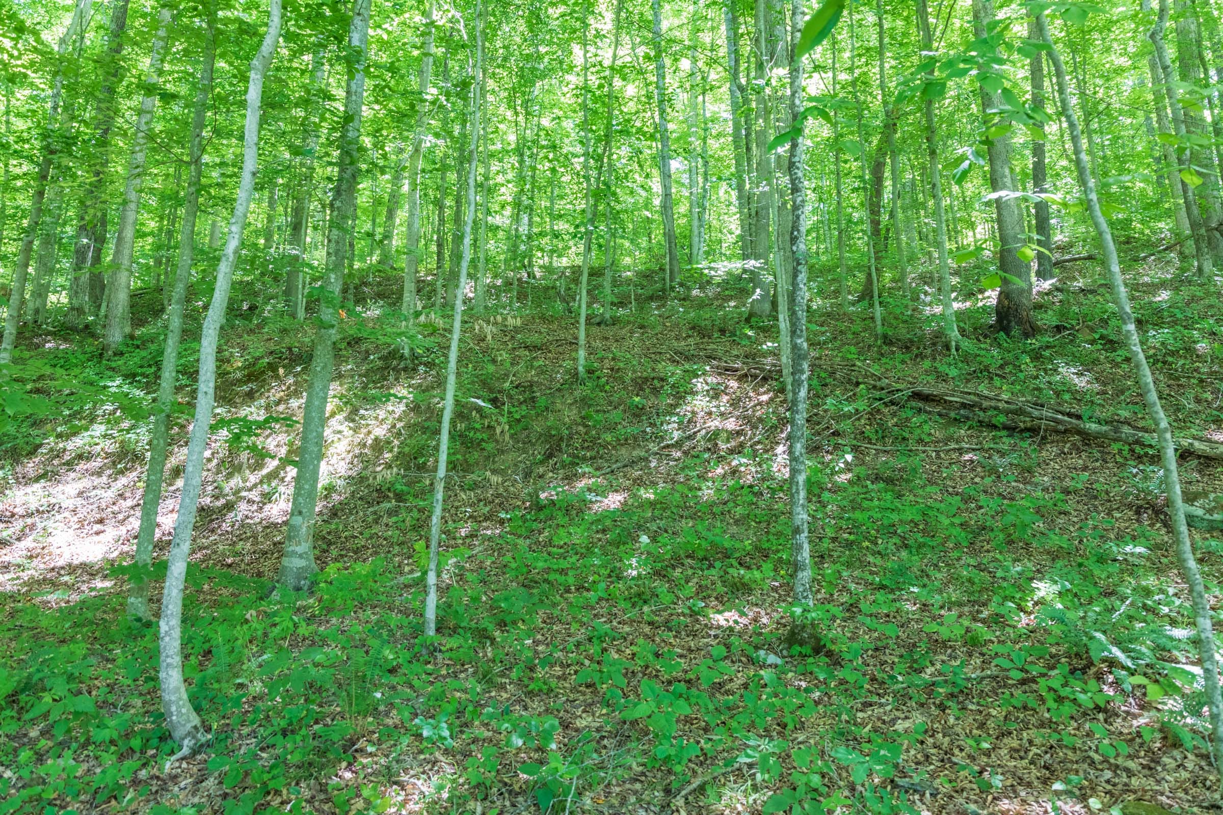 River’s Edge Tract 22 photo 10