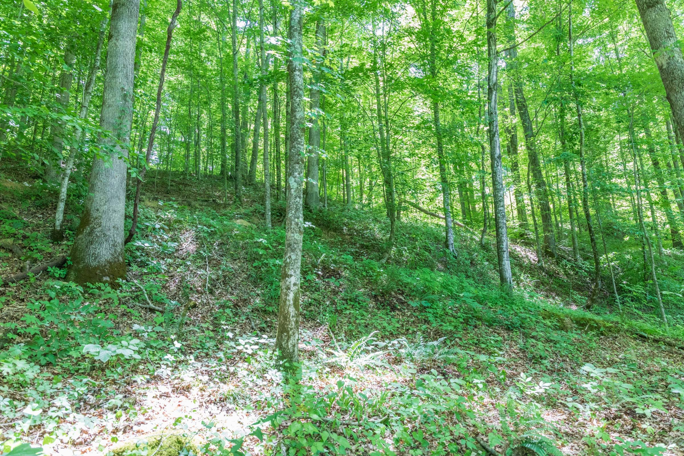 River’s Edge Tract 22 photo 13
