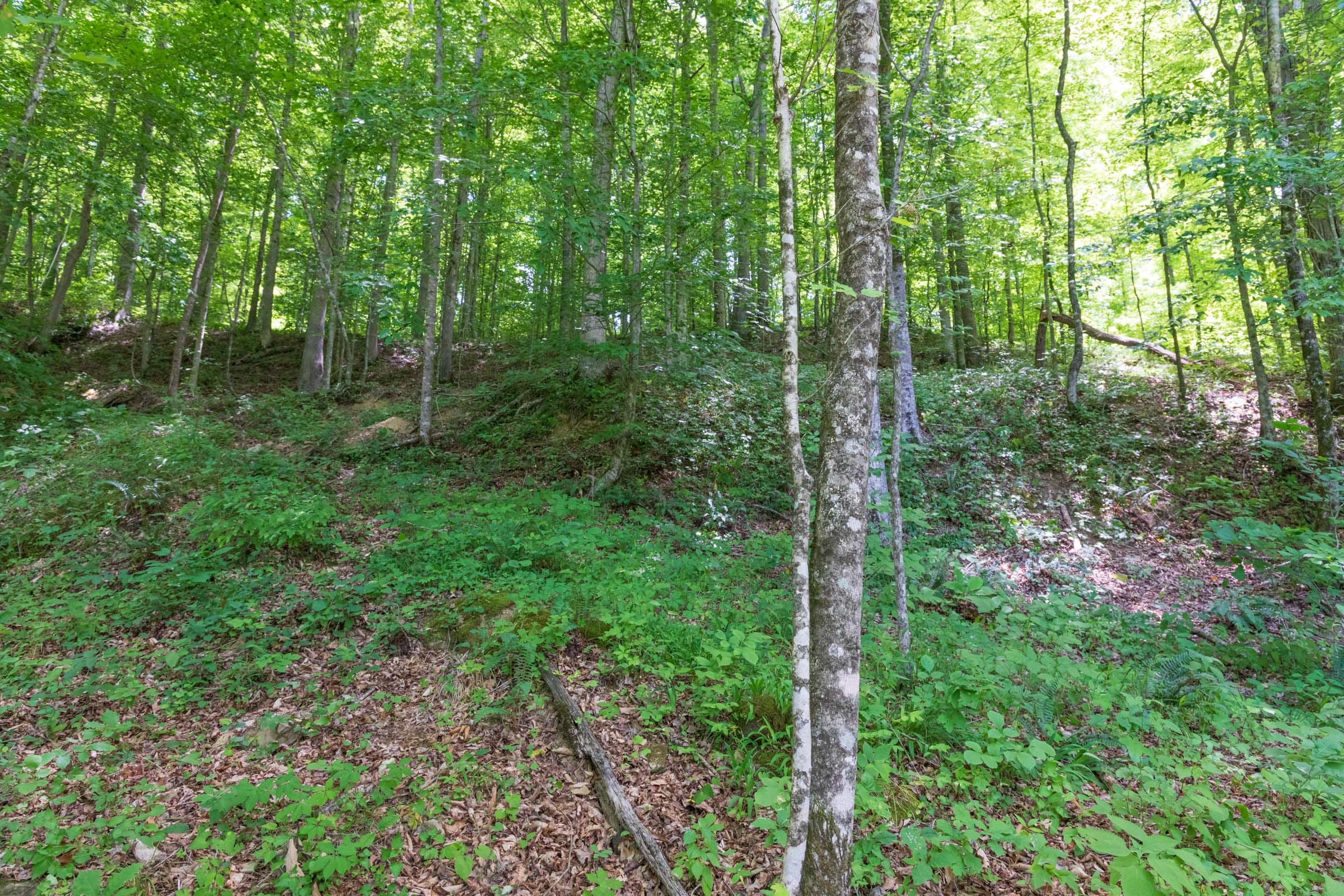 River’s Edge Tract 22 photo 14