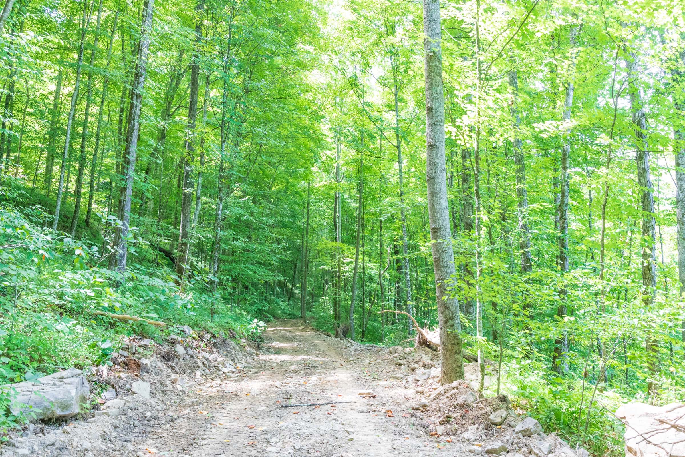 River’s Edge Tract 22 photo 12