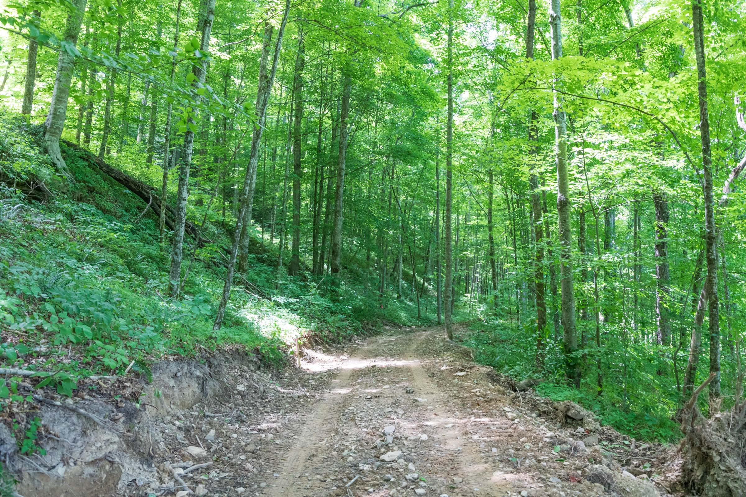 River’s Edge Tract 22 photo 16