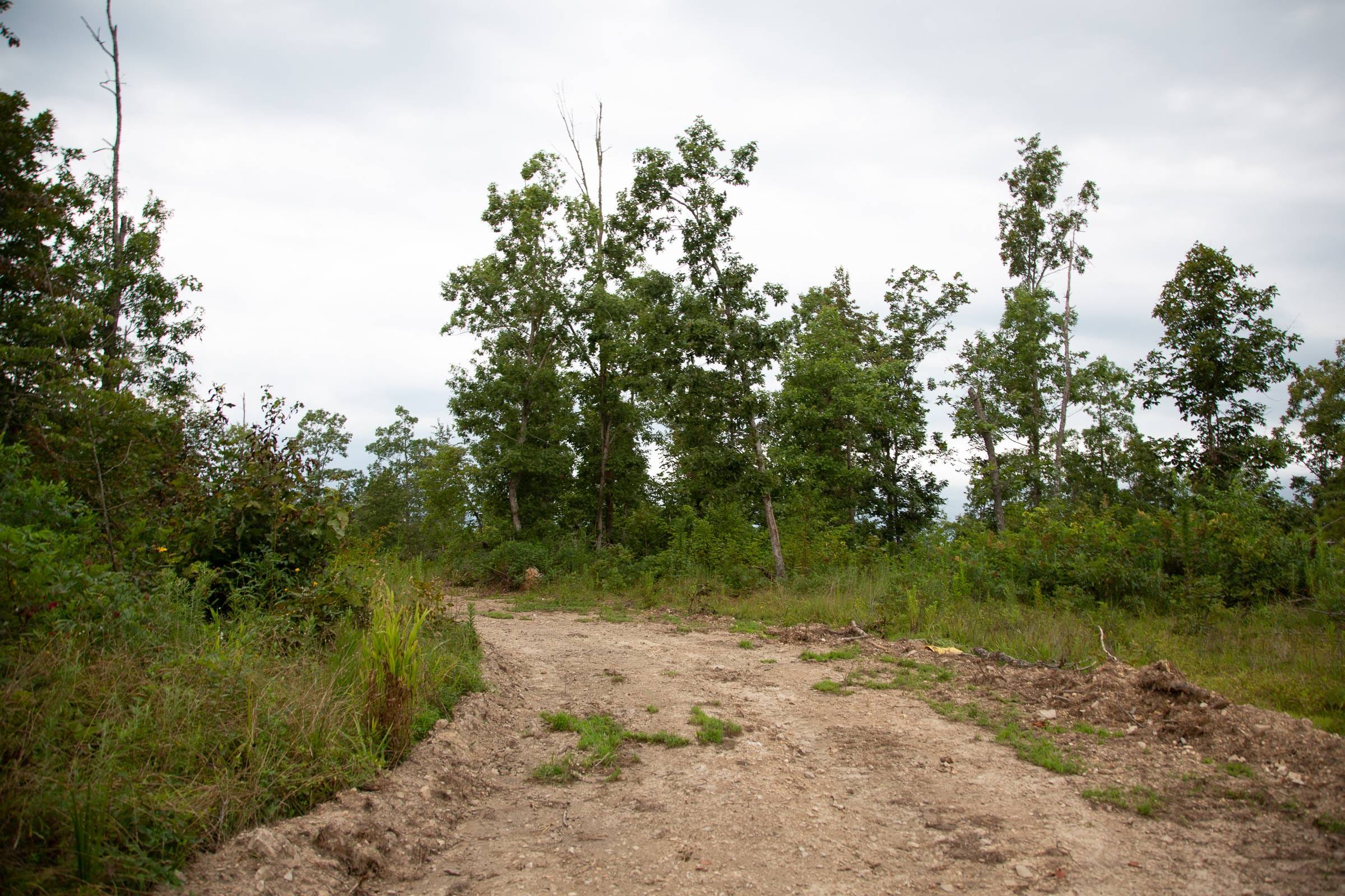 Borgmann’s Hollow Phase II Tract 40 photo 2