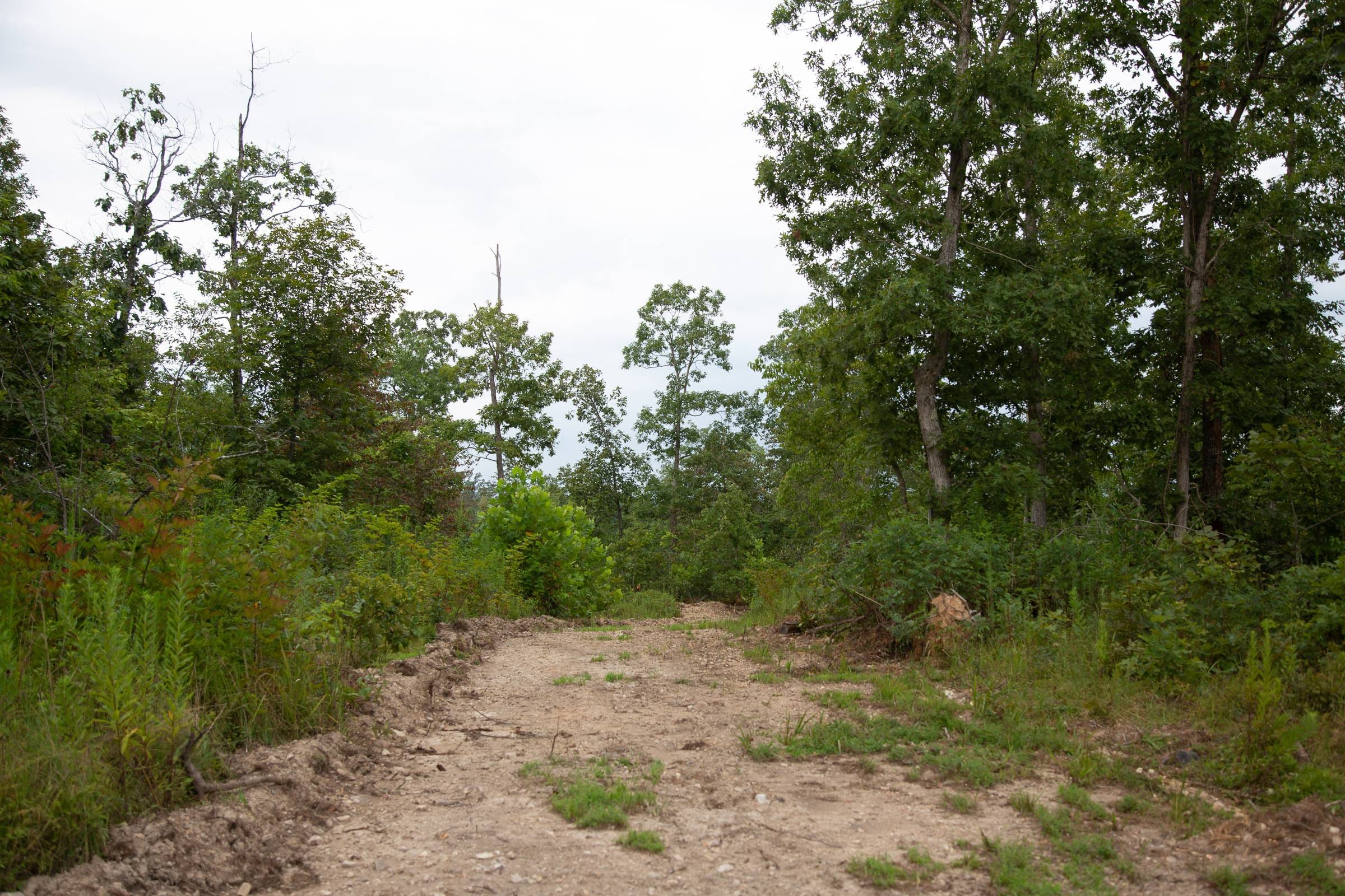 Borgmann’s Hollow Phase II Tract 40 photo 6