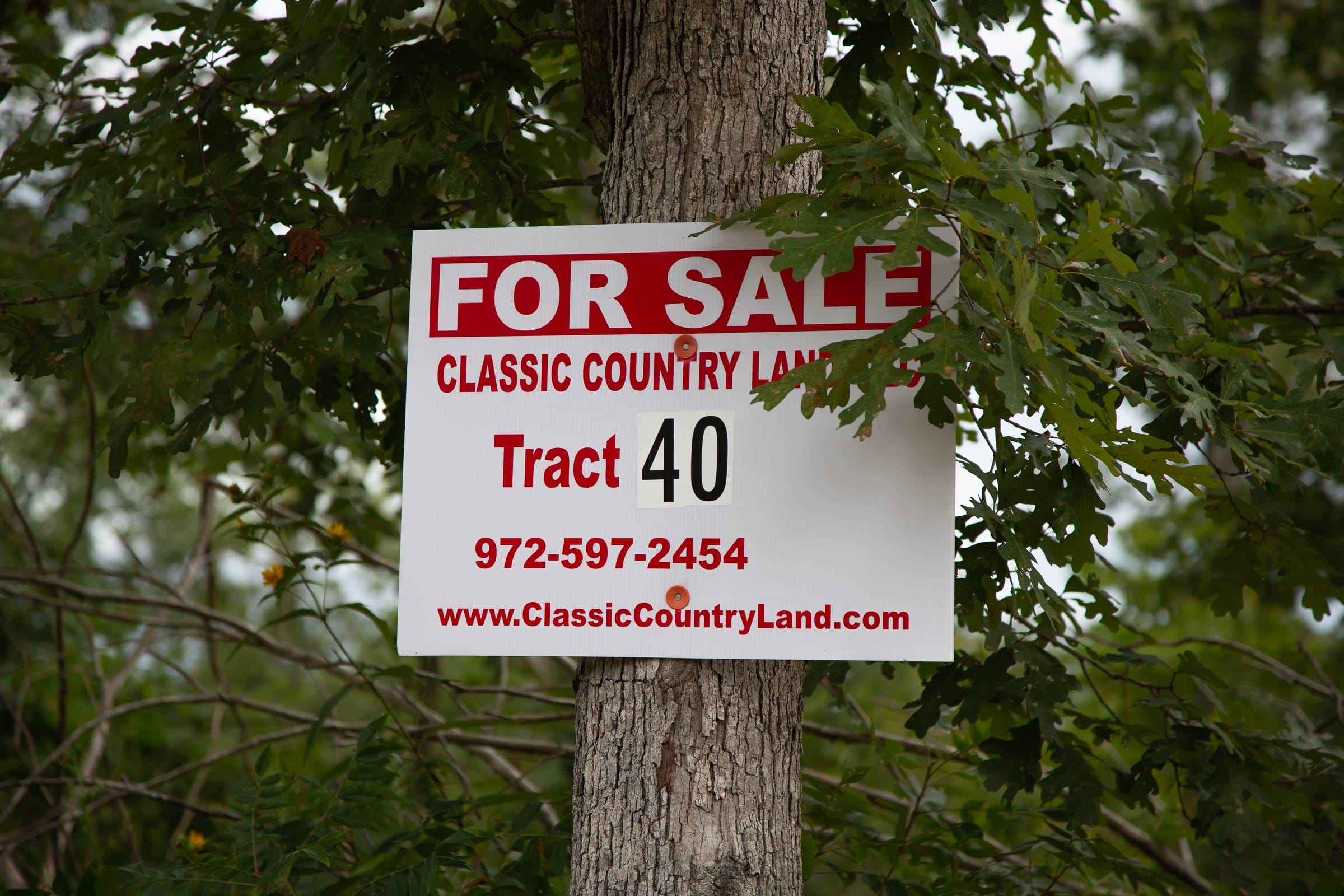 Borgmann’s Hollow Phase II Tract 40 photo 1