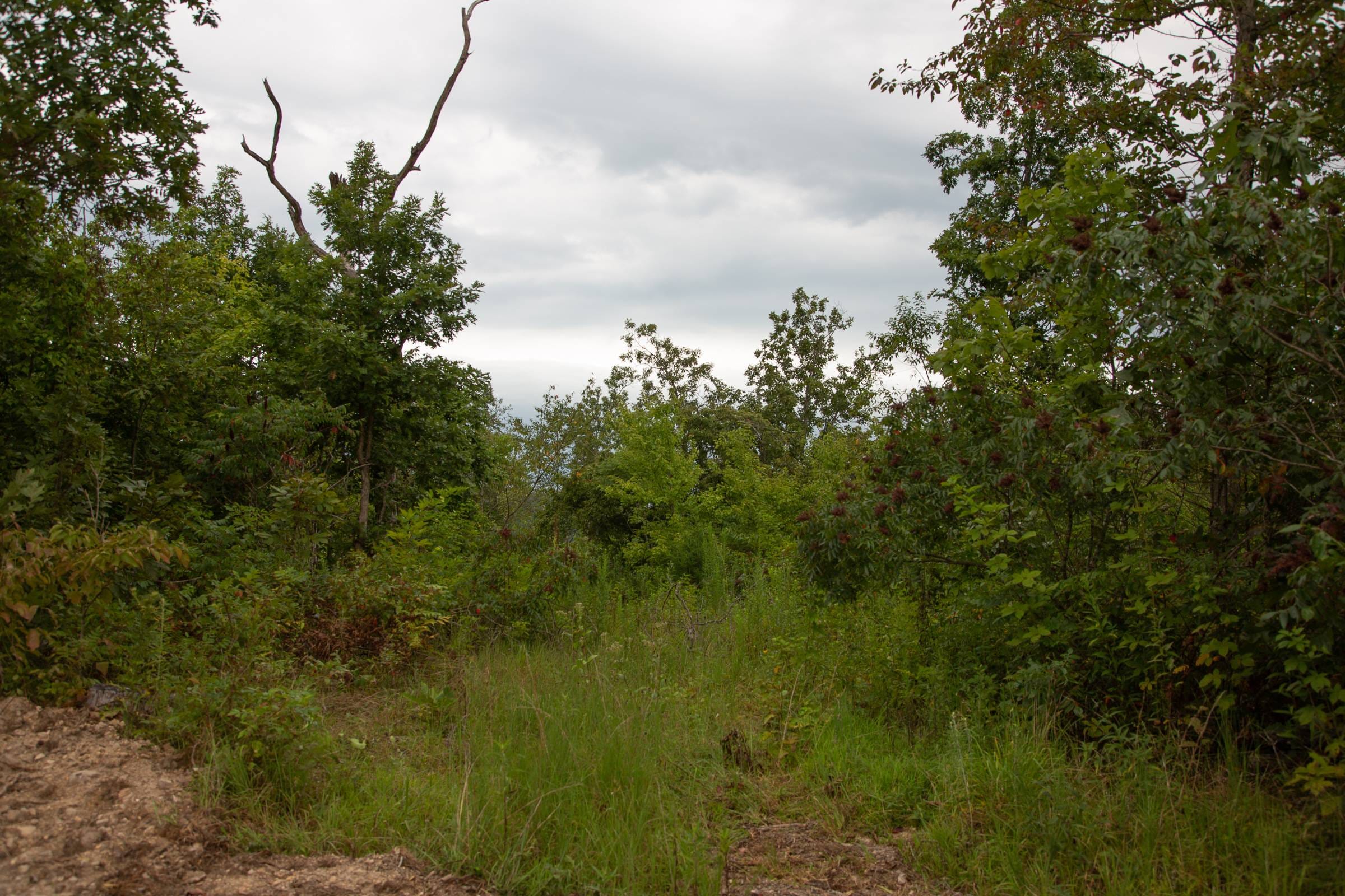 Borgmann’s Hollow Phase II Tract 40 photo 8