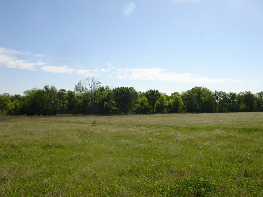 Red River Ranch Tract 12 photo 4