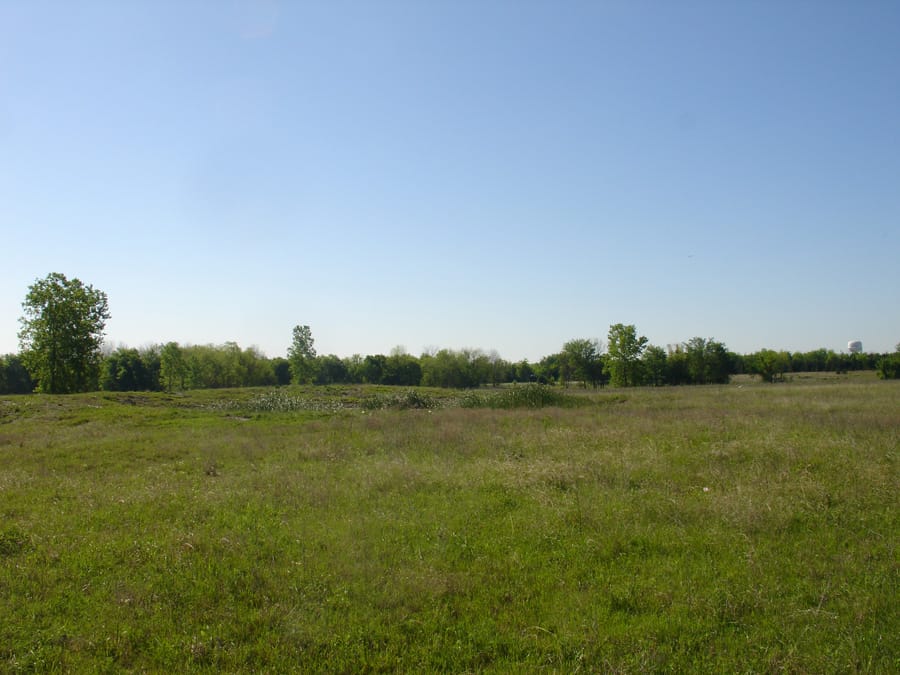 Red River Ranch Tract 12 photo 5