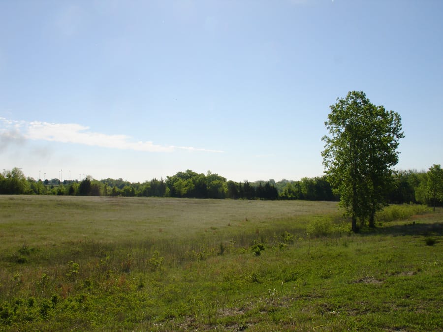 Red River Ranch Tract 12 photo 6
