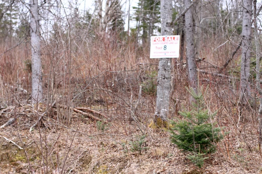 Sunrise Estates Tract 8 photo 3