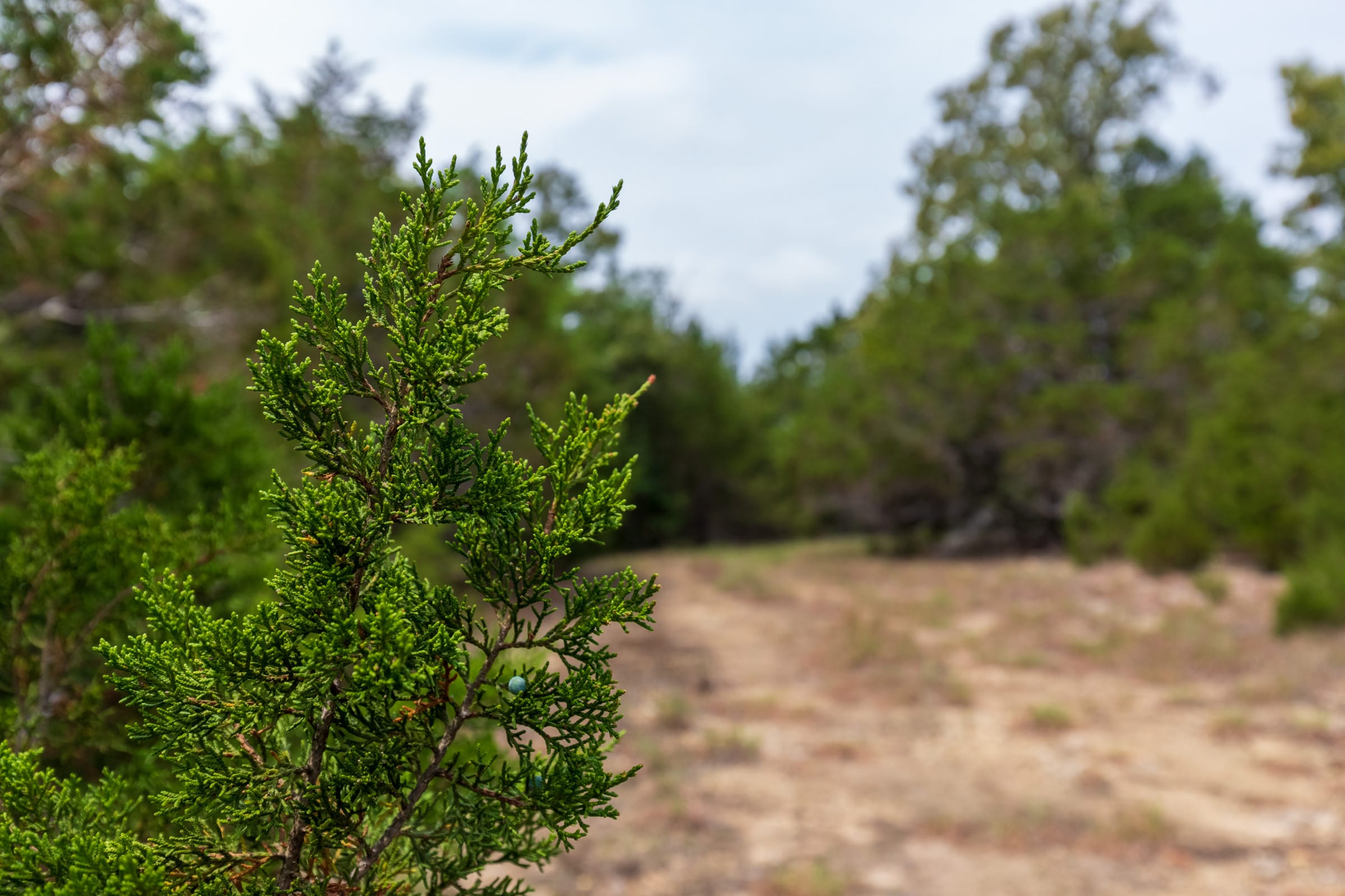 Heritage Bend Tract 27 photo 11