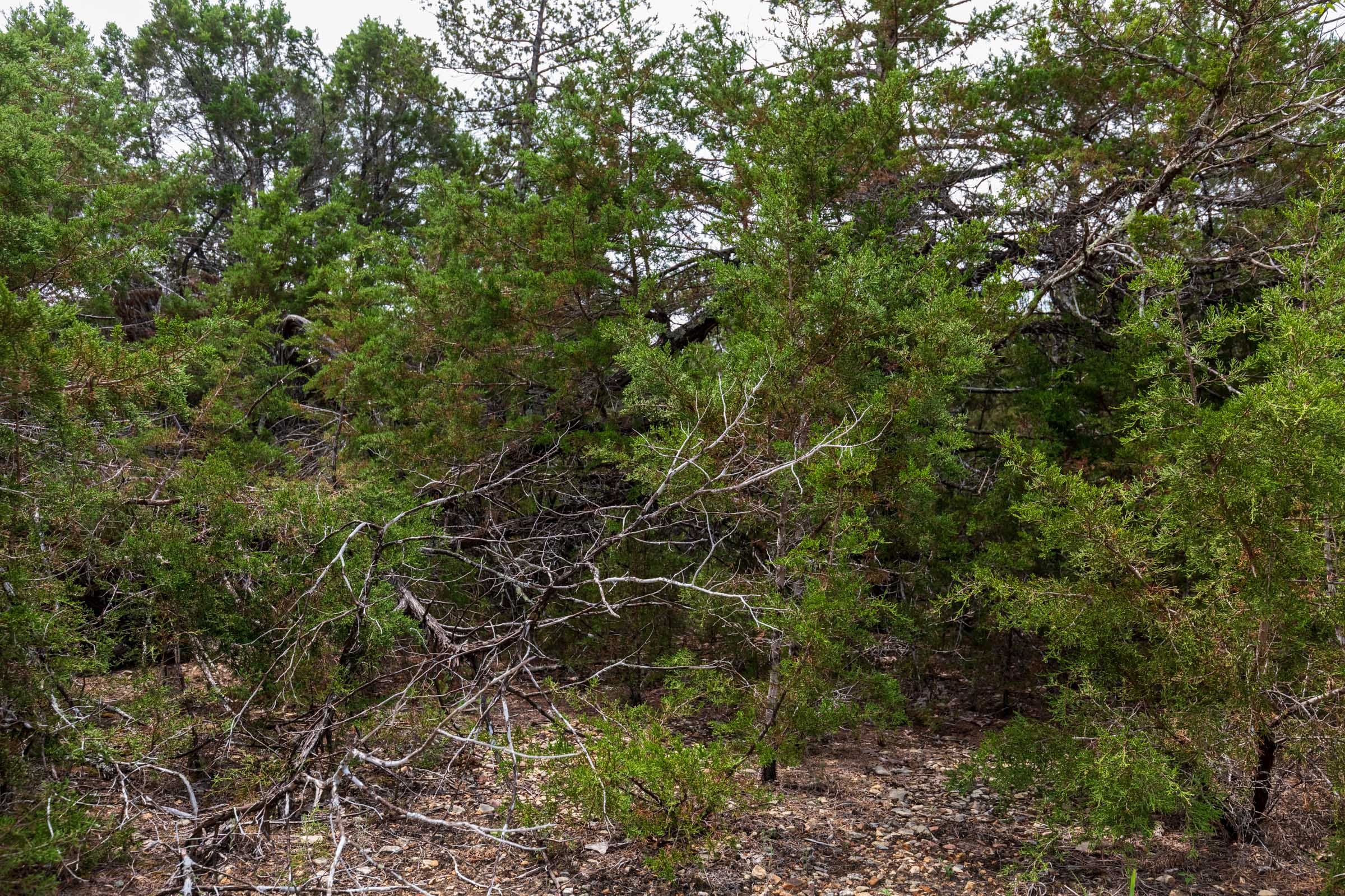 Heritage Bend Tract 27 photo 3