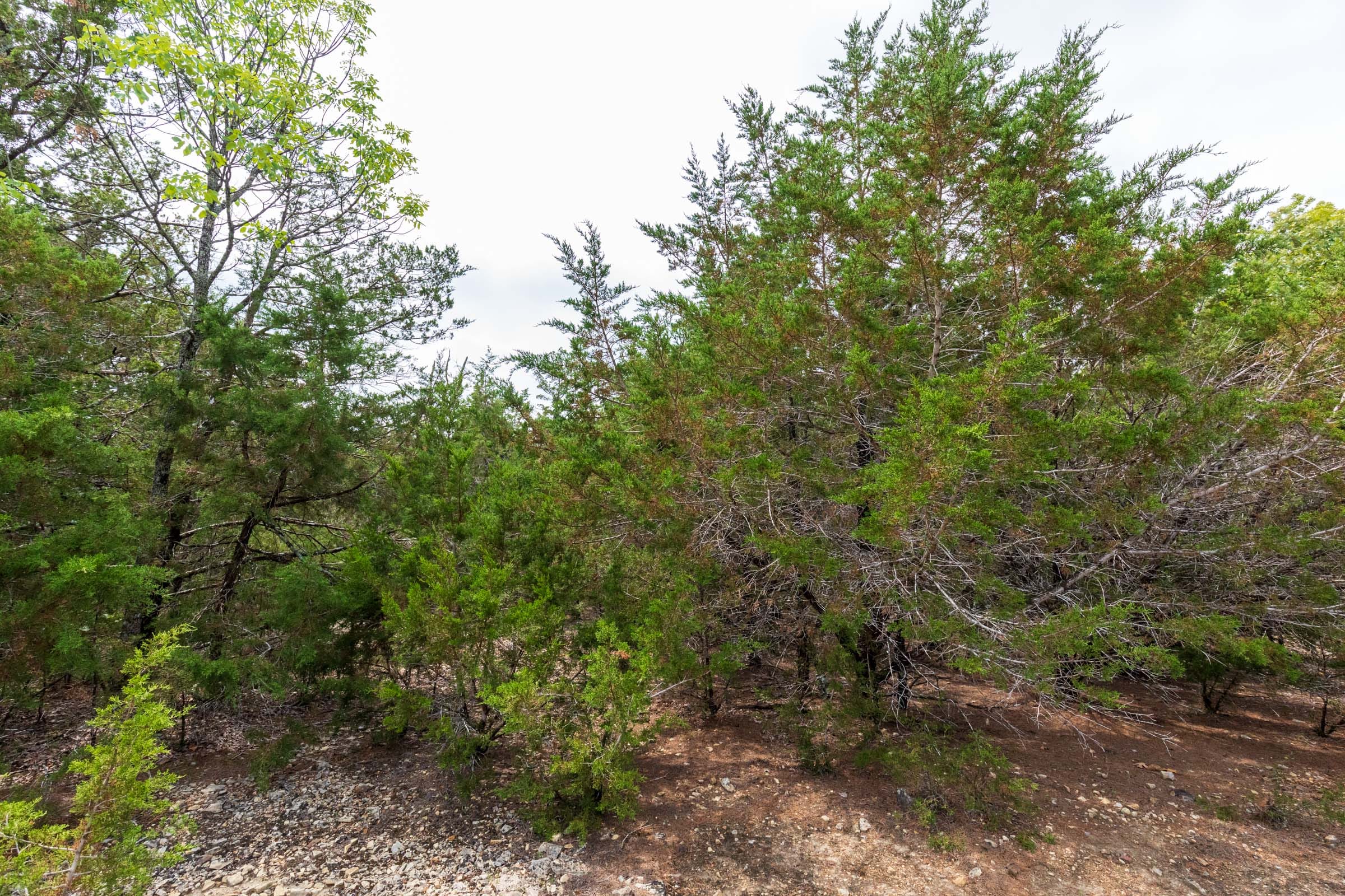 Heritage Bend Tract 27 photo 5