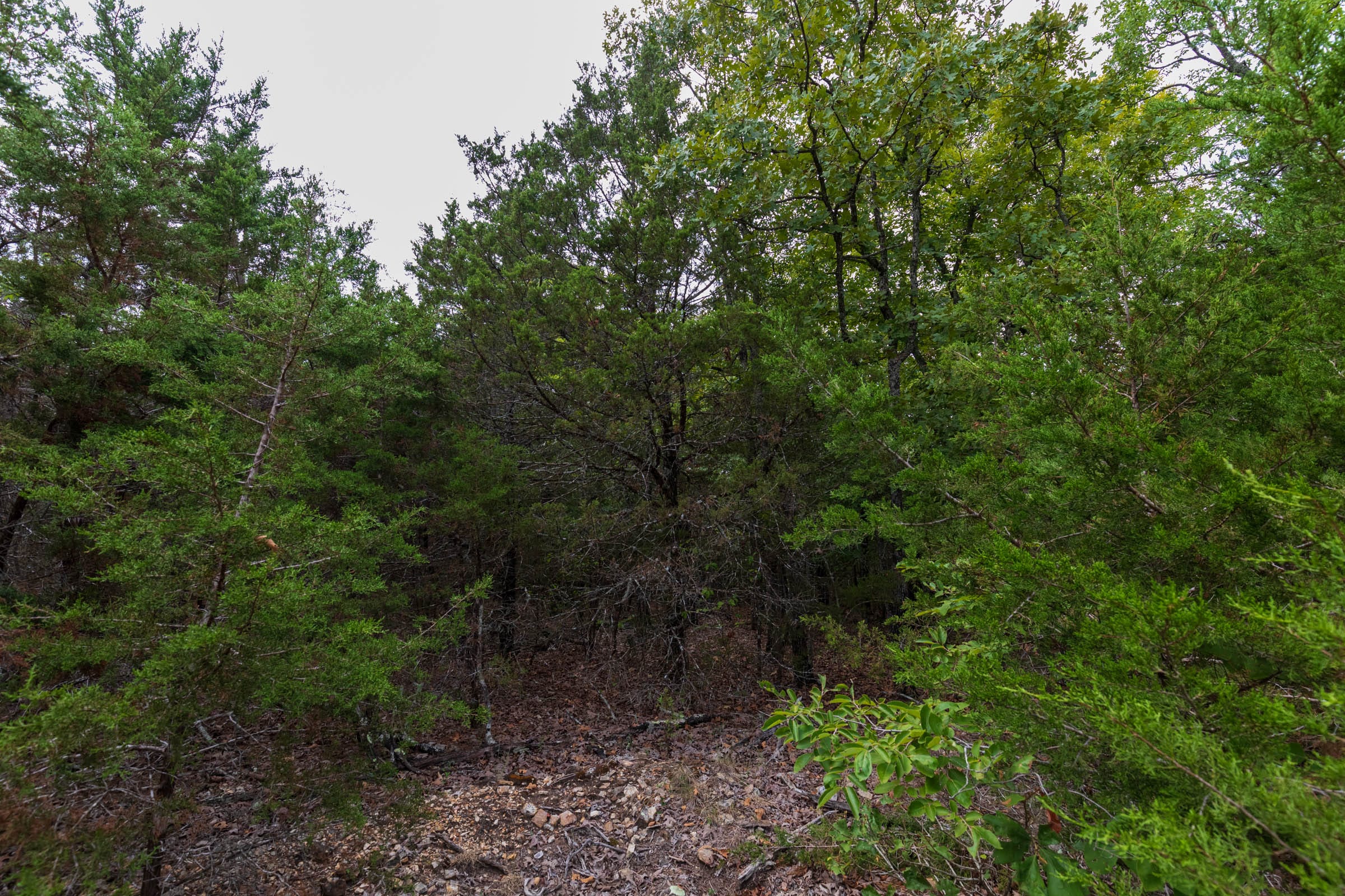 Heritage Bend Tract 27 photo 6