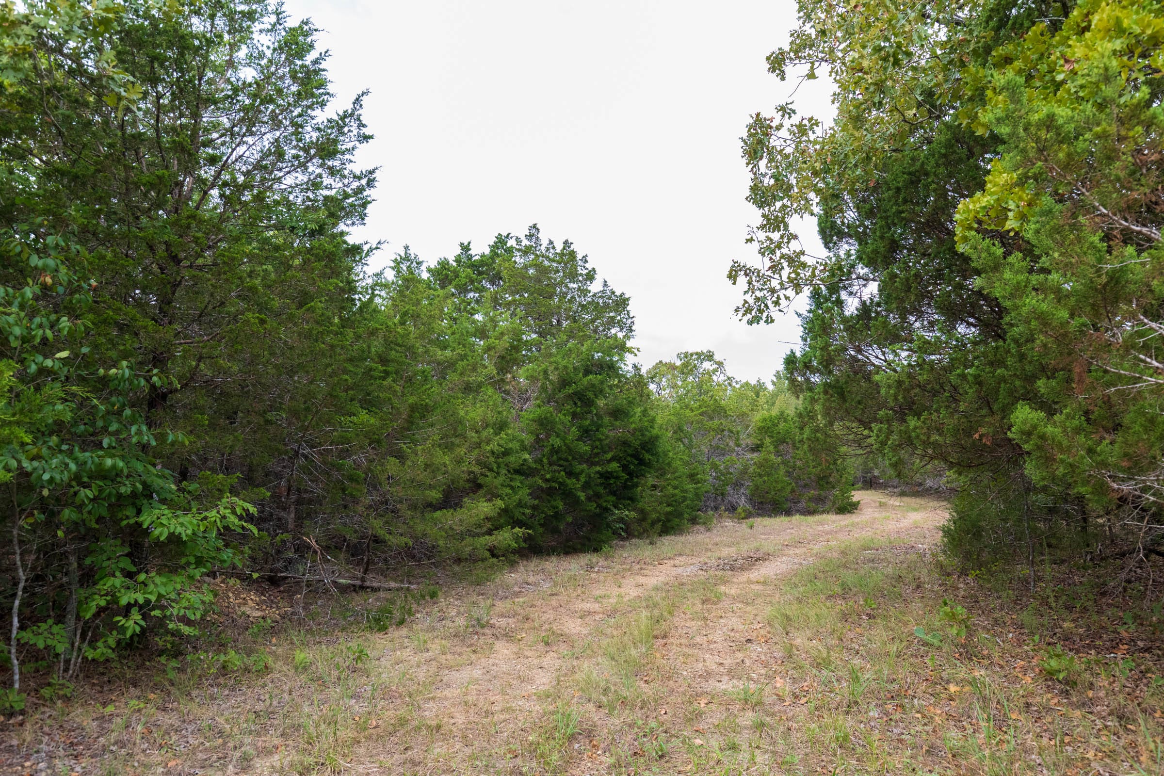 Heritage Bend Tract 27 photo 7